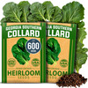 HOME GROWN Georgia Southern Collard Seeds, 600+ Seeds, Brassica oleracea