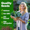 HOME GROWN Georgia Southern Collard Seeds, 600+ Seeds, Brassica oleracea