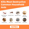 48 Pack Ant Bait Gel Stations for Common Household Ants, Indoor & Outdoor Ant Traps, Effective Carpenter Ant Killer for