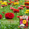Sow Right Seeds - California Giants Zinnia Seed for Planting Flower Garden