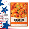 Gardeners Basics, Orange Habanero Pepper Seeds for Planting Heirloom Non-GMO Hot Habanero Peppers Plant Seeds for Home