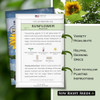 Sow Right Seeds - Mammoth Sunflower Seed for Planting Giant Flower Garden