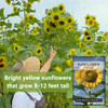 Sow Right Seeds - Mammoth Sunflower Seed for Planting Giant Flower Garden