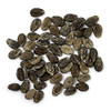 Organic Watermelon Seeds (Crimson Sweet) - Approx 12 Seeds - USDA Organic, Non-GMO, Open Pollinated, Heirloom, USA