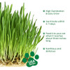 Groundio Cat Grass Seeds, 4 OZ, Wheat & Oat Seeds Mix
