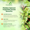 Outsidepride Basella Rubra Malabar Spinach Seeds - 100 Pcs. Perennial, Humid & Heat-Tolerant, Nutrient-Rich Herb Seeds