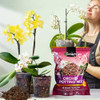 Omitgoter Organic Orchid Potting Mix 1qt, Mixture of Orchid Bark and Perlite, Specifically Formulated for Orchids
