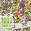 Seed Needs Zinnia Seeds Original Crazy Blend 1,000 Seeds Heirloom Bulk Pack