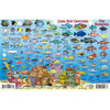 Franko Maps Bahamas Fish ID for Scuba Divers and Snorkelers