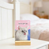 Gejoyse 60 PCS Cat Themed Affirmation Cards for Women