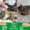 GranNaturals Boar Bristle Soft Cat Brush for Indoor, Outdoor, Short Haired Cats, Kittens, Small Dog, Rabbit, Furry