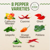Rooted Acre 8 Varieties Hot Peppers  240 Heirloom Seeds, High Germination  Includes Ghost JalapeÃ±o, Serrano,