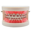 Standard Tooth Teaching Mallocclusion Orthodontic Teeth Model with Brackets Archwire Buccal Tube Tool