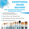 Princeton Aqua Elite, Series 4850, Synthetic Kolinsky Watercolor Paint Brush,Round, 0