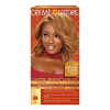 Exotic Shine Hair Color by Creme of Nature, 10.0 Honey Blonde, with Argan Oil from Morocco, 1 Application