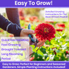 NatureZ Edge Zinnia Seeds for 2026 Planting Outdoors, Over 650 Flower Seeds, 5g, Non GMO Made in USA, Bulk Semillas De