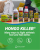 HONGO KILLER Antifungal Solution, Athlete's Foot Treatment, Multicolor, 1 Fl Oz