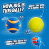Chuckit! Ultra Squeaker Balls for Dogs, Floating Water Pet Toys, Durable Rubber Pet Toy, Bouncy Squeaky Fetch Balls
