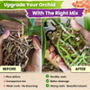 DUSPRO 4in1 Orchid Potting Mix for Repotting, Pre-Mixed & Ready to Use, 1QT