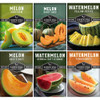 Melon Seeds for Planting, 6-Variety Pack Heirloom Fruit Collection