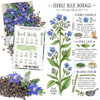 Seed Needs Edible Flower Seeds Variety Pack of 7 Wildflowers for Garnishing