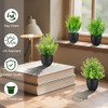 SMART DIRECT 4 Pack Fake Desk Plants Small Faux Plants Mini Potted Artificial Plants for Table Bathroom Home Room