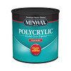 Minwax 1/2 pt 25555 Clear Polycrylic Water-Based Protective Finish Gloss