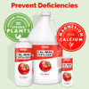 Cal Mag for Plants - Calcium and Magnesium Plus Iron and Micros, 8 oz