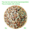 2lb Bonsai Succulent and Cactus Soil Boniosz Gritty Mix Rocks Faster Draining Optimized PH No Root Rot