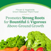 Osmocote Smart-Release Plant Food Flower & Vegetable, 1 lb.