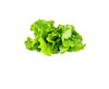 Click & Grow Green Lettuce Refill Pods, 3-Pack, for Smart Garden