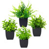 Grever 4 Pack Small Fake Plants in Blue Pot Mini Artificial Potted Plants for Home Bathroom Office Table Desk Shelf