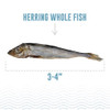 Icelandic+ Whole Fish Herring - 3oz Wild-Caught Air-Dried Dog Treats