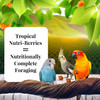LAFEBER'S Sunny Orchard Nutri-Berries for Cockatiels & Parakeets 10oz