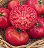 Marde Ross & Company Pink Ponderosa Heirloom Tomato Seeds - Large Tomato - One of the Most Delicious Tomatoes for Home
