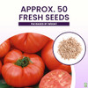 Marde Ross & Company Pink Ponderosa Heirloom Tomato Seeds - Large Tomato - One of the Most Delicious Tomatoes for Home