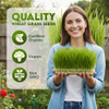 Nature Jim's Sprouts - Organic Wheat Grass Sprouting Seeds  Non-GMO - 16oz