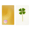 Real Four Leaf Clover Bookmark, Elegant 4 Leaf Clover Charm, Perfect Gift for Book Lovers, Preserved Four Leaf Clover
