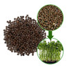 The Sprout House Speckled Pea Seed - Organic Speckled Pea, Non-GMO, High Germination Sprouting Seeds for Nutritious