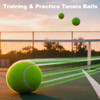 HPWFHPLF Tennis Balls, 12 Pack Advanced Training & Practice Tennis Balls for Beginners, Pet Dogs Playing Balls,
