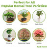 Perfect Plants Bonsai Soil, 2 qt, Organic All-Purpose Potting Mix