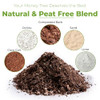 Perfect Plants Money Tree Potting Soil, 2 qt, Indoor Coco Coir Mix