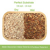 NOHOBE 2.5lb Premium Diatomite Rocks Soil Amendments Diatomaceous Earth(DE) Soil Additive for Succulent, Cacti, Indoor