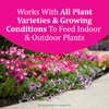 Osmocote Smart-Release Plant Food Plus Outdoor & Indoor1, 2 lb.