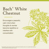 Bach Original Flower Remedies, White Chestnut - Calm the Mind - Natural Homeopathic Flower Essence for Emotional