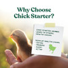 Manna Pro Medicated Chick Starter Grower Feed, Amprolium & Protein, 5 lb