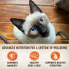 Wellness CORE Tiny Tasters Pate Variety Pack Adult Wet Cat Food, Natural, Protein Rich, Grain Free, Sea Recipies, 1.75