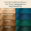 INH Semi Permanent Hair Color | Color Depositing Conditioner, Aquamarine Hair Dye | No Bleach No Peroxide Temporary