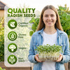 Nature Jim's Sprouts - Organic Radish Seeds for Sprouting  Non-GMO - 16 oz
