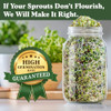 Seedboy Organic Non-GMO Microgreens and Sprouting Seeds (Broccoli)